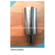 Stainless Steel A182 Wp317 Fittings Polished Swage Nipples